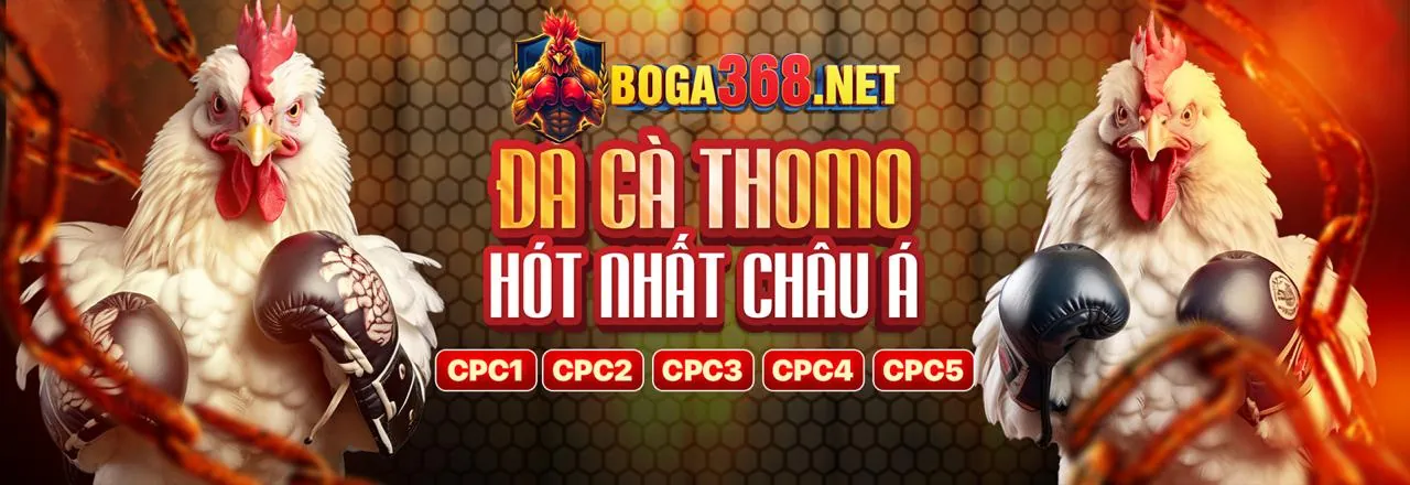 Sân đấu đá gà trực tuyến Roobet 2026 đầy kịch tính với ánh đèn rực rỡ và khán giả hò reo