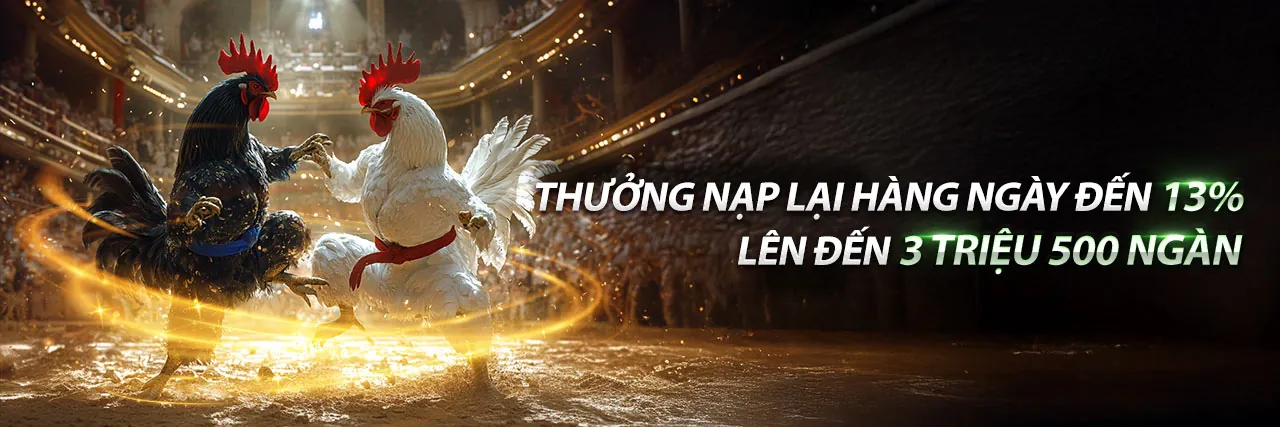 Sân chơi Casino trực tuyến Roobet