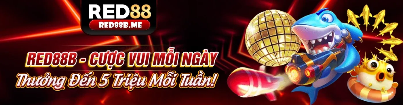 roobet Tin Tức Mới Nhất