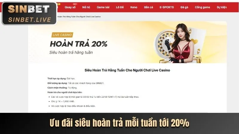 Chương trình giới thiệu bạn bè roobet