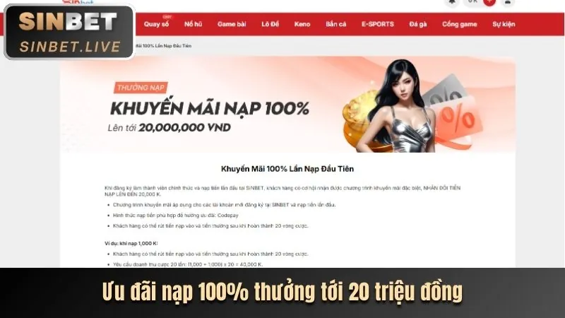 Hoàn trả casino roobet